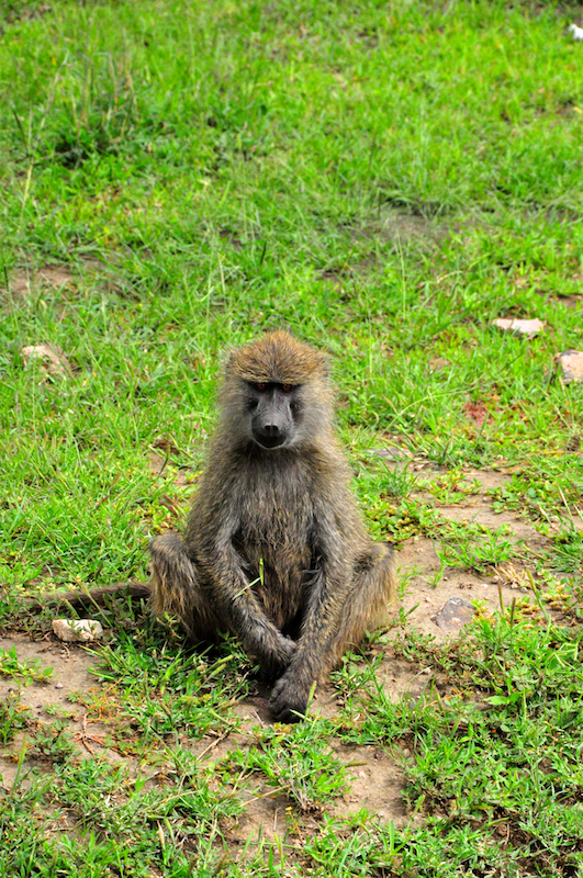 Melanie Heinrich Travel Images Africa